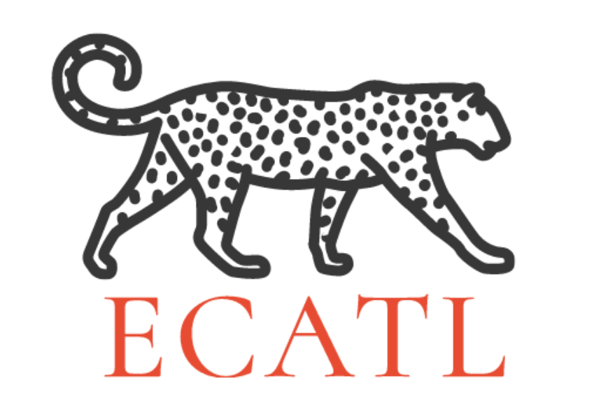 Logo Cajas Fuertes Ecat;